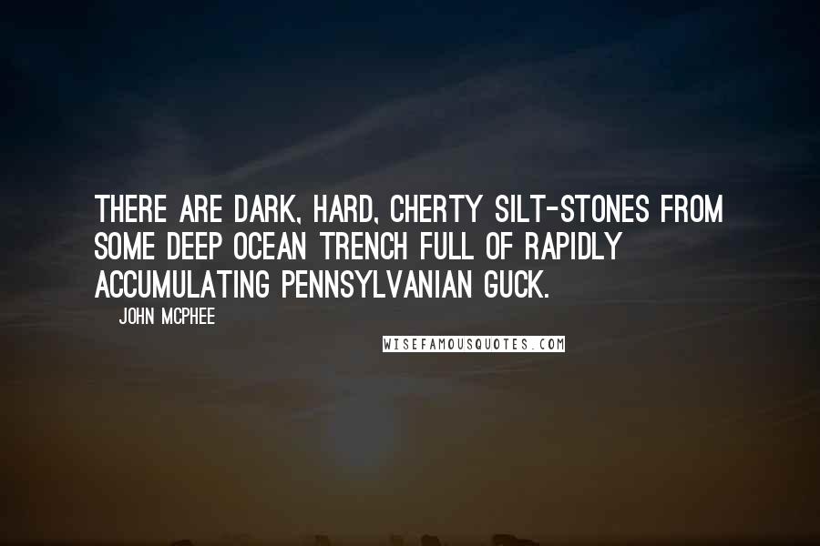 John McPhee Quotes: There are dark, hard, cherty silt-stones from some deep ocean trench full of rapidly accumulating Pennsylvanian guck.
