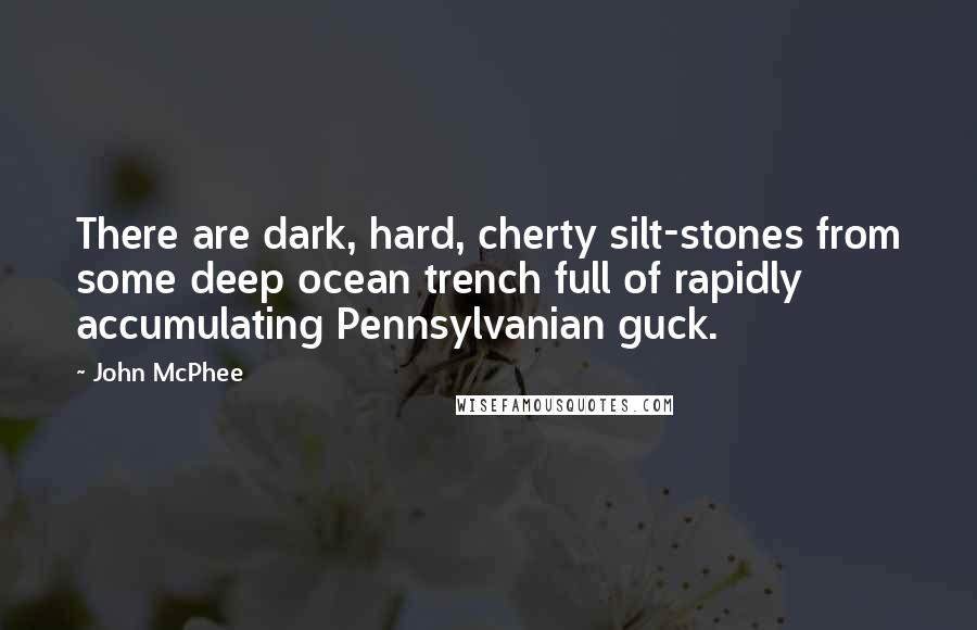 John McPhee Quotes: There are dark, hard, cherty silt-stones from some deep ocean trench full of rapidly accumulating Pennsylvanian guck.