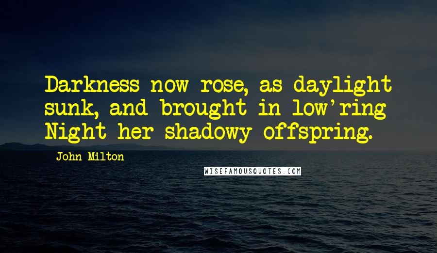 John Milton Quotes: Darkness now rose, as daylight sunk, and brought in low'ring Night her shadowy offspring.