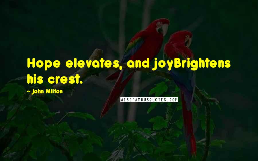 John Milton Quotes: Hope elevates, and joyBrightens his crest.