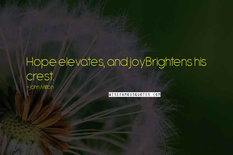 John Milton Quotes: Hope elevates, and joyBrightens his crest.