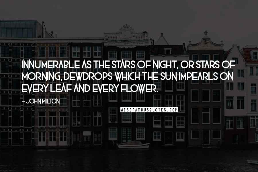 John Milton Quotes: Innumerable as the stars of night, Or stars of morning, dewdrops which the sun Impearls on every leaf and every flower.