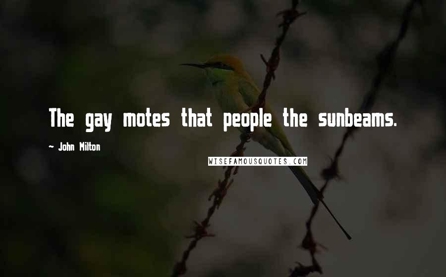 John Milton Quotes: The gay motes that people the sunbeams.