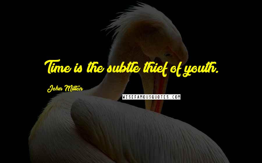 John Milton Quotes: Time is the subtle thief of youth.