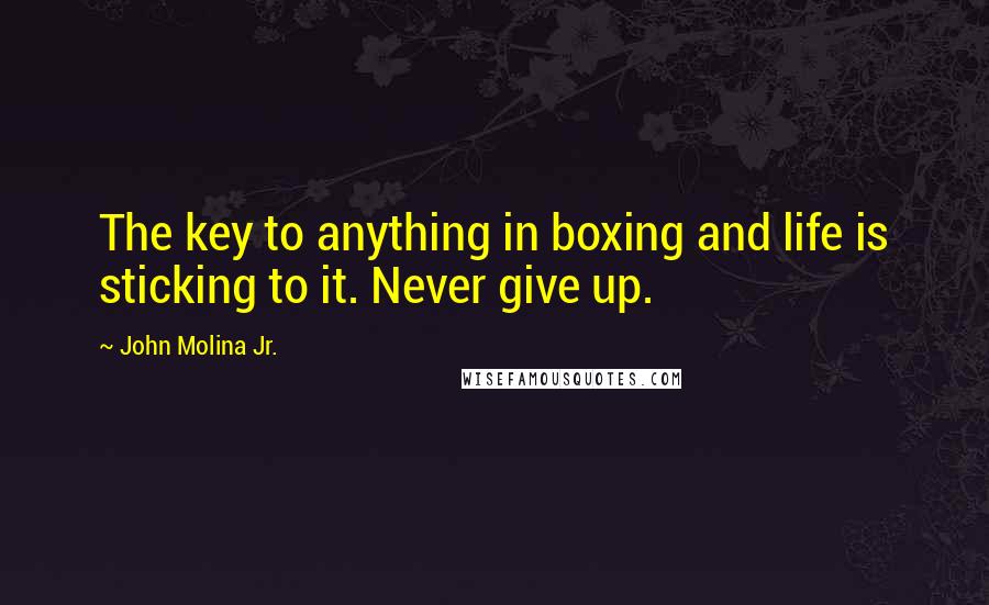 John Molina Jr. Quotes: The key to anything in boxing and life is sticking to it. Never give up.