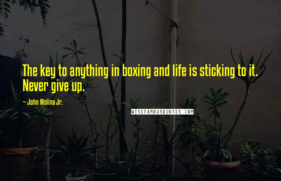 John Molina Jr. Quotes: The key to anything in boxing and life is sticking to it. Never give up.