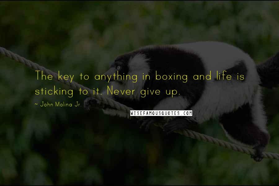 John Molina Jr. Quotes: The key to anything in boxing and life is sticking to it. Never give up.