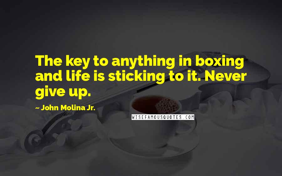 John Molina Jr. Quotes: The key to anything in boxing and life is sticking to it. Never give up.