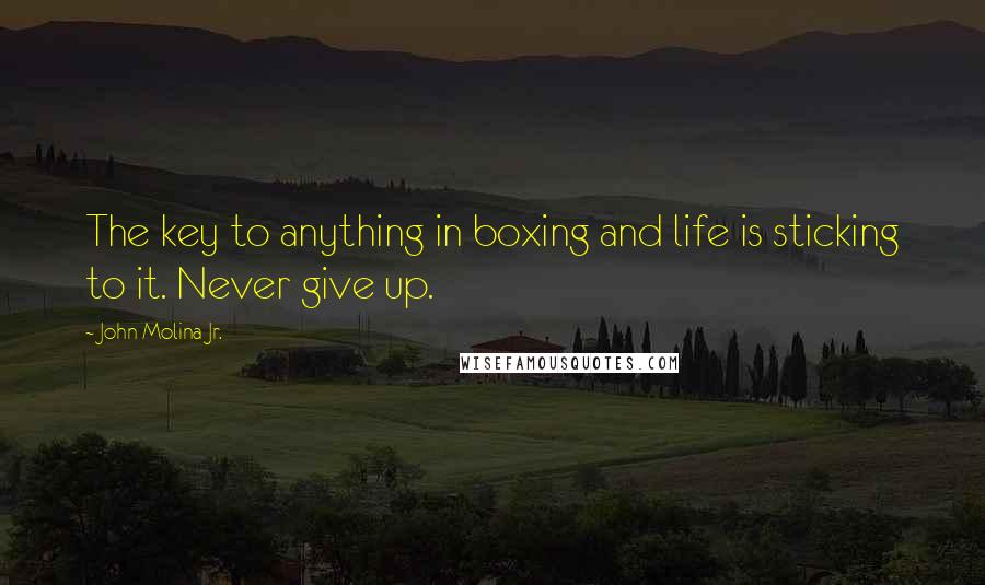 John Molina Jr. Quotes: The key to anything in boxing and life is sticking to it. Never give up.