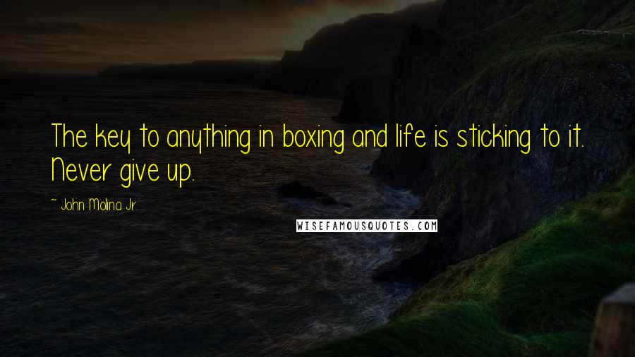 John Molina Jr. Quotes: The key to anything in boxing and life is sticking to it. Never give up.
