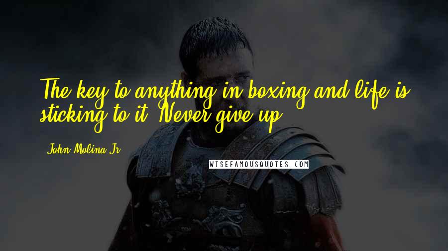 John Molina Jr. Quotes: The key to anything in boxing and life is sticking to it. Never give up.