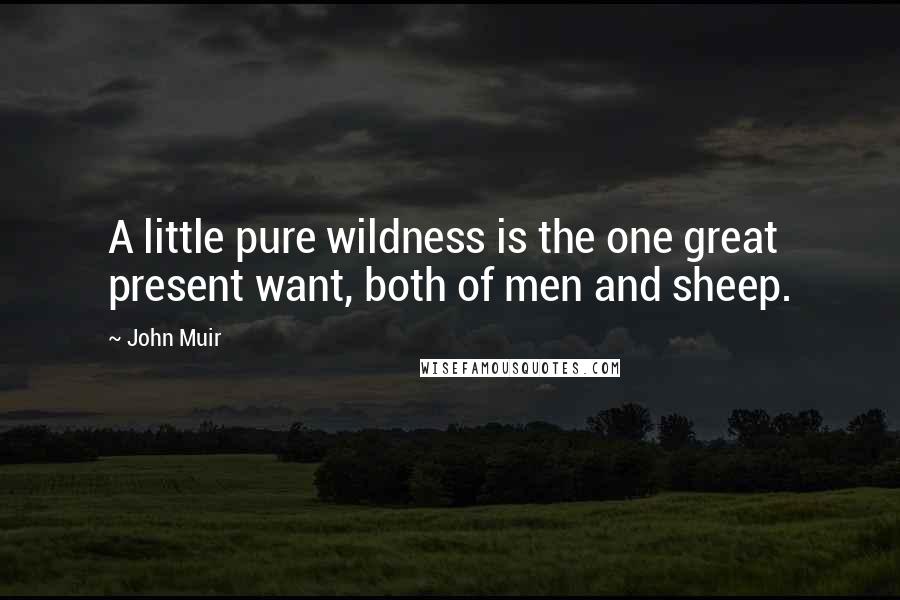 John Muir Quotes: A little pure wildness is the one great present want, both of men and sheep.