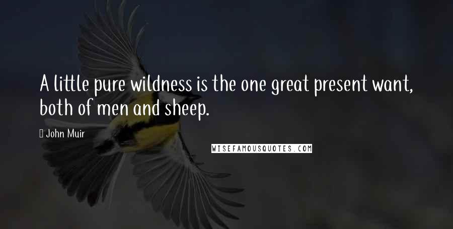 John Muir Quotes: A little pure wildness is the one great present want, both of men and sheep.