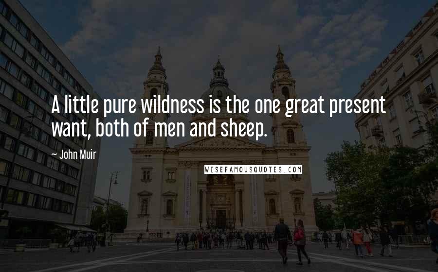 John Muir Quotes: A little pure wildness is the one great present want, both of men and sheep.