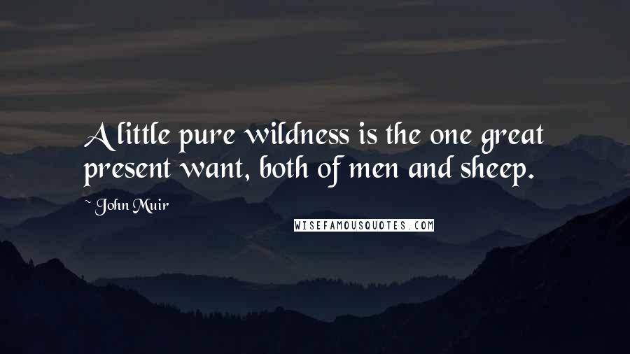 John Muir Quotes: A little pure wildness is the one great present want, both of men and sheep.