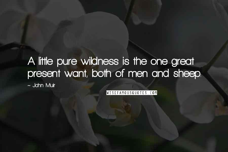 John Muir Quotes: A little pure wildness is the one great present want, both of men and sheep.