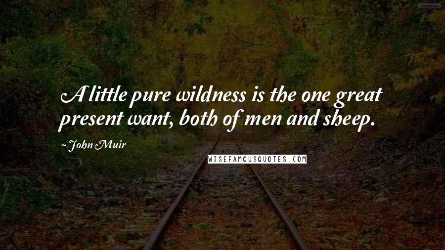 John Muir Quotes: A little pure wildness is the one great present want, both of men and sheep.