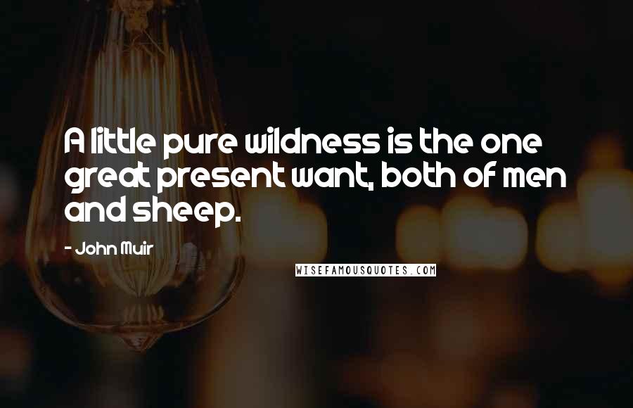 John Muir Quotes: A little pure wildness is the one great present want, both of men and sheep.