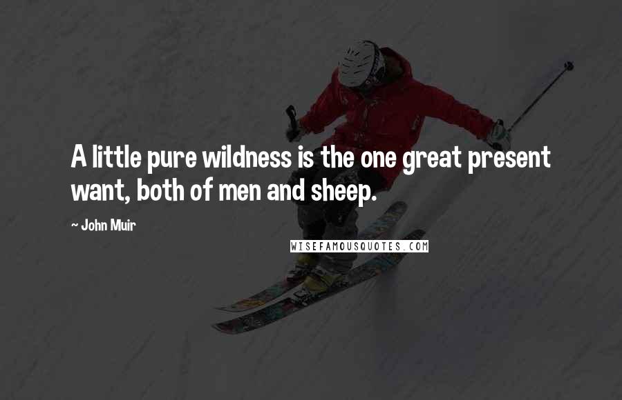 John Muir Quotes: A little pure wildness is the one great present want, both of men and sheep.
