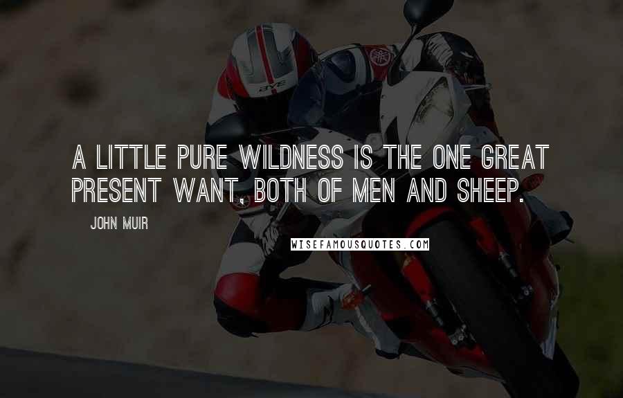 John Muir Quotes: A little pure wildness is the one great present want, both of men and sheep.
