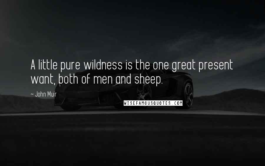 John Muir Quotes: A little pure wildness is the one great present want, both of men and sheep.