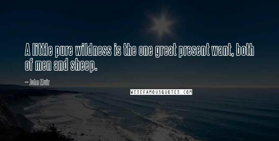 John Muir Quotes: A little pure wildness is the one great present want, both of men and sheep.