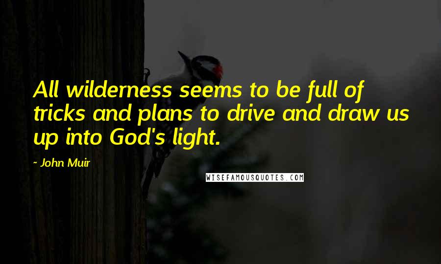 John Muir Quotes: All wilderness seems to be full of tricks and plans to drive and draw us up into God's light.