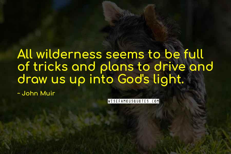 John Muir Quotes: All wilderness seems to be full of tricks and plans to drive and draw us up into God's light.