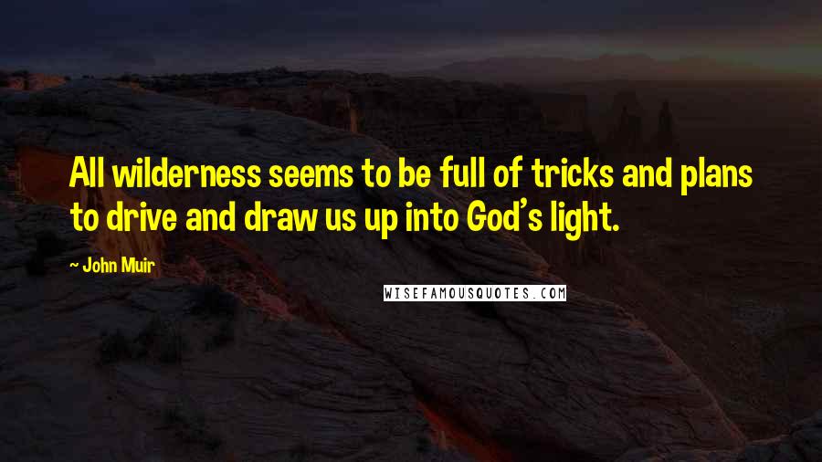 John Muir Quotes: All wilderness seems to be full of tricks and plans to drive and draw us up into God's light.