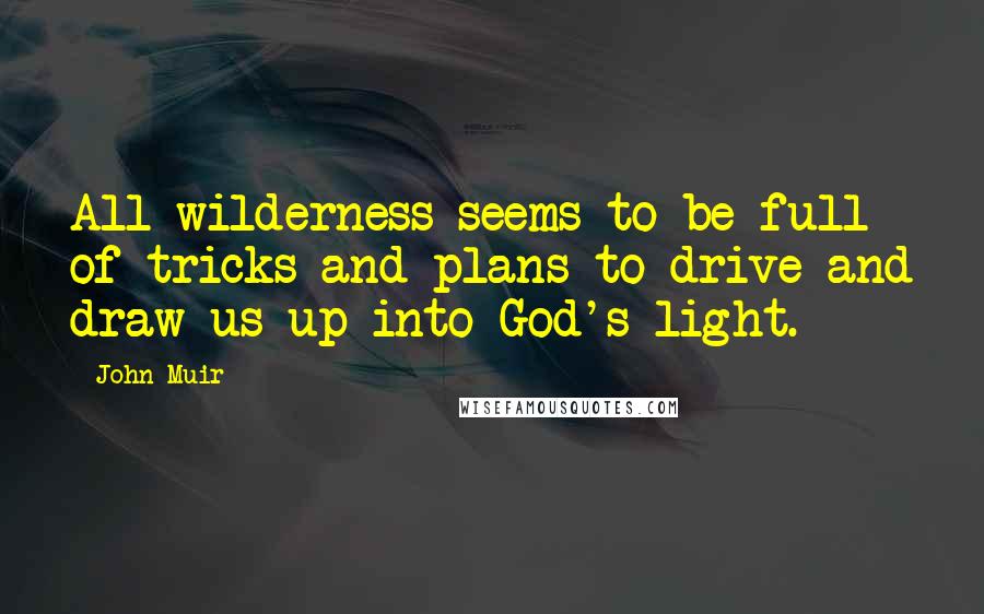 John Muir Quotes: All wilderness seems to be full of tricks and plans to drive and draw us up into God's light.