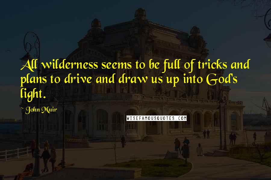 John Muir Quotes: All wilderness seems to be full of tricks and plans to drive and draw us up into God's light.