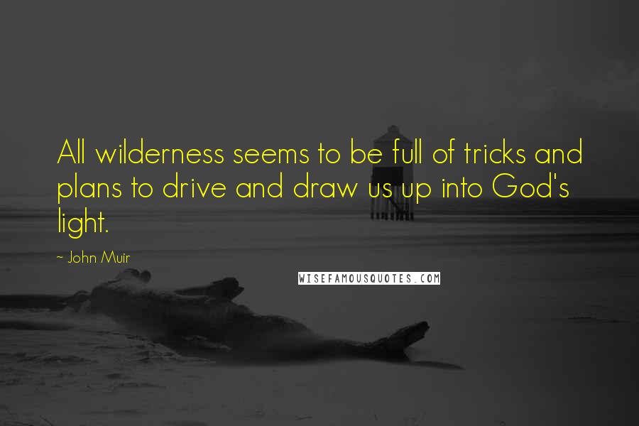 John Muir Quotes: All wilderness seems to be full of tricks and plans to drive and draw us up into God's light.