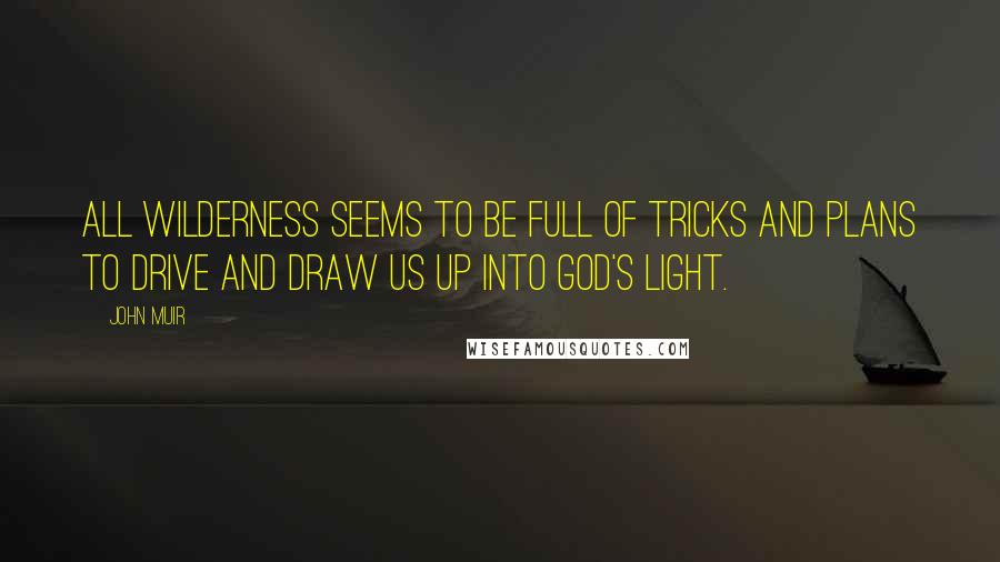 John Muir Quotes: All wilderness seems to be full of tricks and plans to drive and draw us up into God's light.