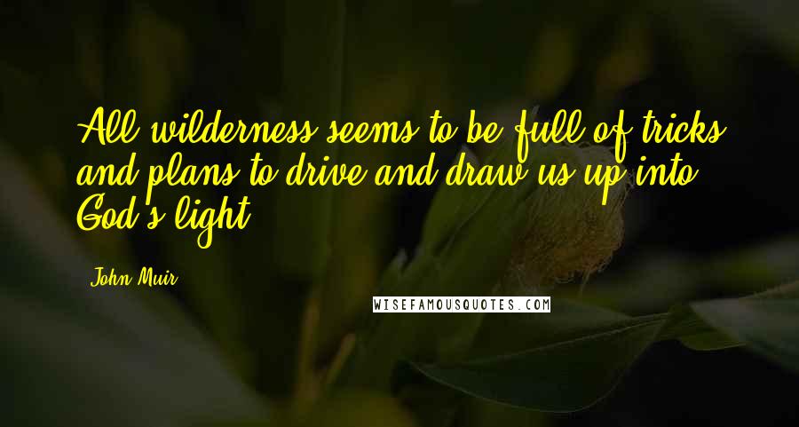 John Muir Quotes: All wilderness seems to be full of tricks and plans to drive and draw us up into God's light.