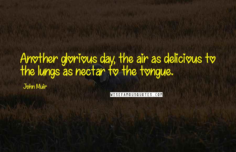 John Muir Quotes: Another glorious day, the air as delicious to the lungs as nectar to the tongue.