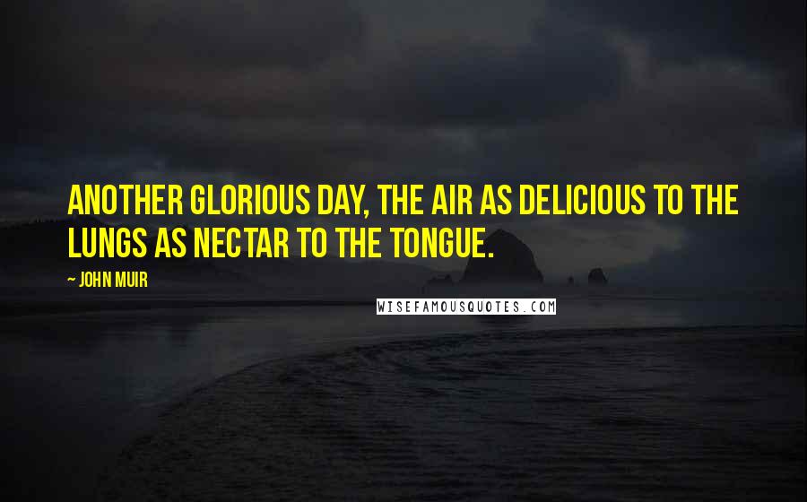 John Muir Quotes: Another glorious day, the air as delicious to the lungs as nectar to the tongue.