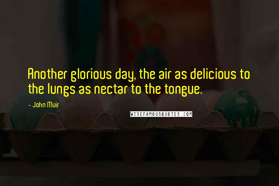 John Muir Quotes: Another glorious day, the air as delicious to the lungs as nectar to the tongue.