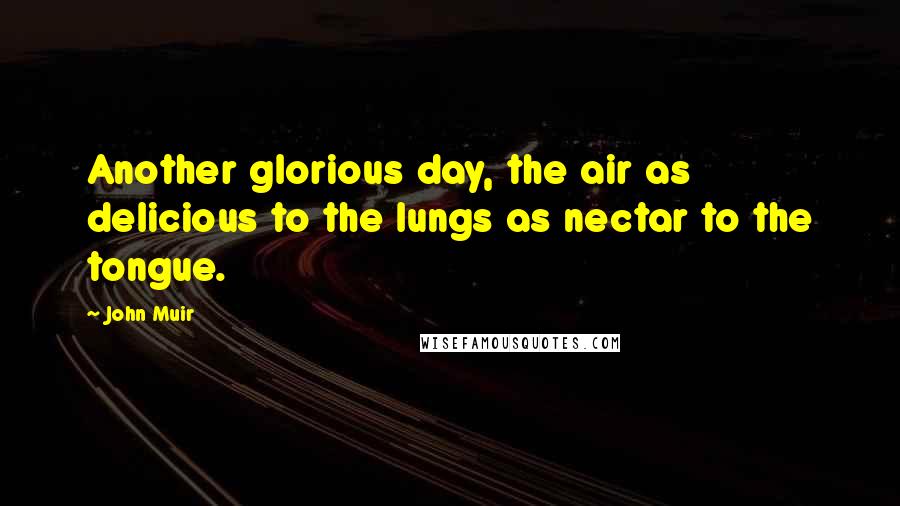 John Muir Quotes: Another glorious day, the air as delicious to the lungs as nectar to the tongue.