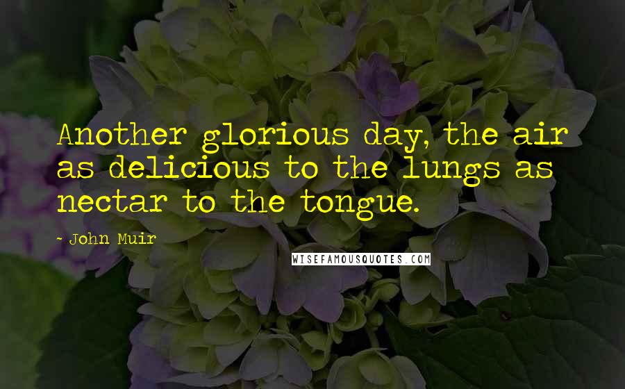 John Muir Quotes: Another glorious day, the air as delicious to the lungs as nectar to the tongue.