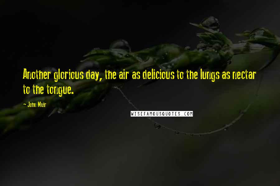 John Muir Quotes: Another glorious day, the air as delicious to the lungs as nectar to the tongue.