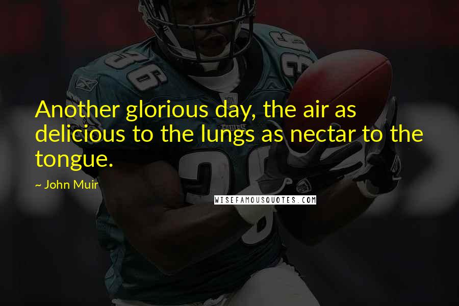John Muir Quotes: Another glorious day, the air as delicious to the lungs as nectar to the tongue.