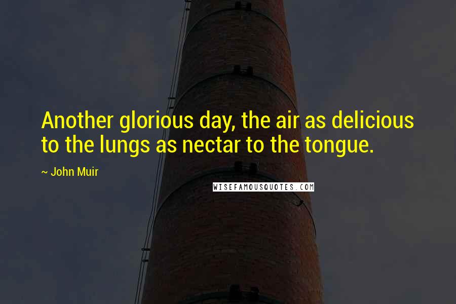 John Muir Quotes: Another glorious day, the air as delicious to the lungs as nectar to the tongue.