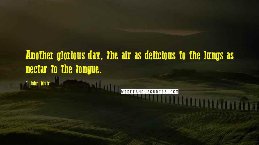 John Muir Quotes: Another glorious day, the air as delicious to the lungs as nectar to the tongue.