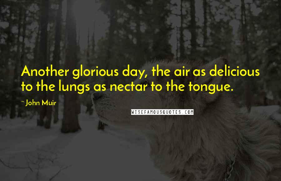 John Muir Quotes: Another glorious day, the air as delicious to the lungs as nectar to the tongue.