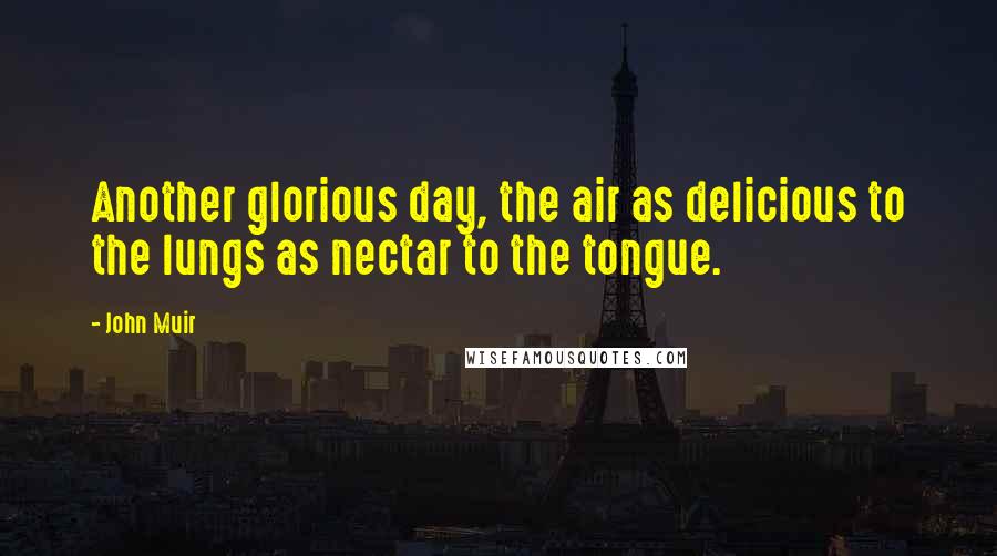 John Muir Quotes: Another glorious day, the air as delicious to the lungs as nectar to the tongue.