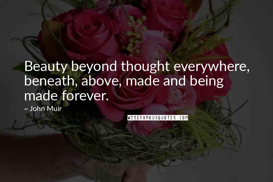 John Muir Quotes: Beauty beyond thought everywhere, beneath, above, made and being made forever.