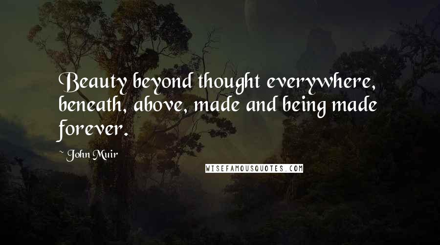 John Muir Quotes: Beauty beyond thought everywhere, beneath, above, made and being made forever.