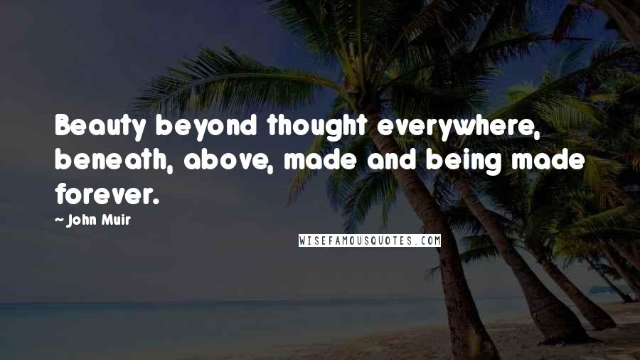 John Muir Quotes: Beauty beyond thought everywhere, beneath, above, made and being made forever.