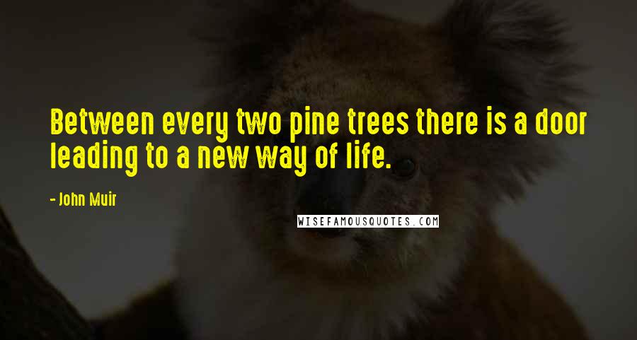 John Muir Quotes: Between every two pine trees there is a door leading to a new way of life.