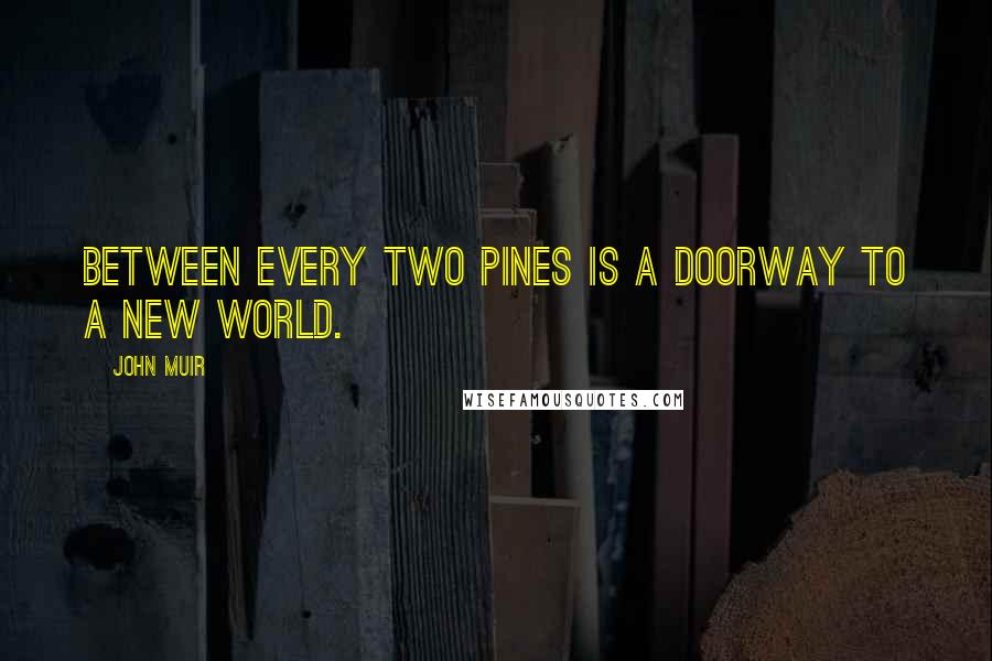 John Muir Quotes: Between every two pines is a doorway to a new world.